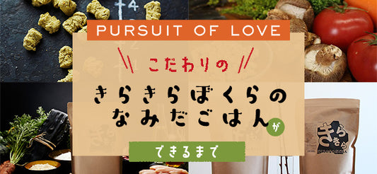 PUSUIT OF LOVE こだわりの“きらきらぼくらのなみだごはん”ができるまで!