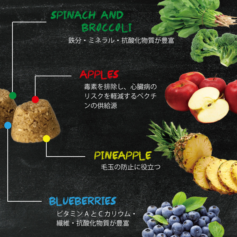 オーブンベークド トラディション OVEN-BAKED TRADITION キャットフード グレインフリー フィッシュ 350g