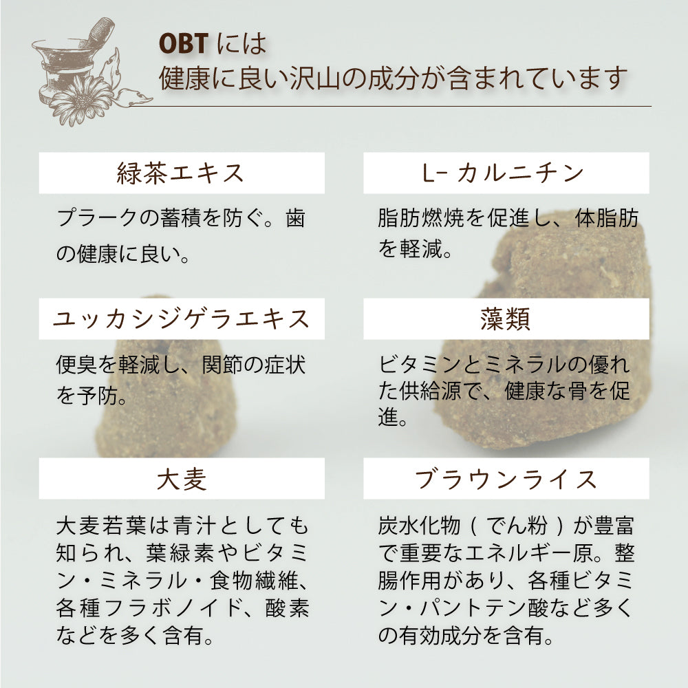 オーブンベークド トラディション OVEN-BAKED TRADITION キャットフード グレインフリー フィッシュ 350g