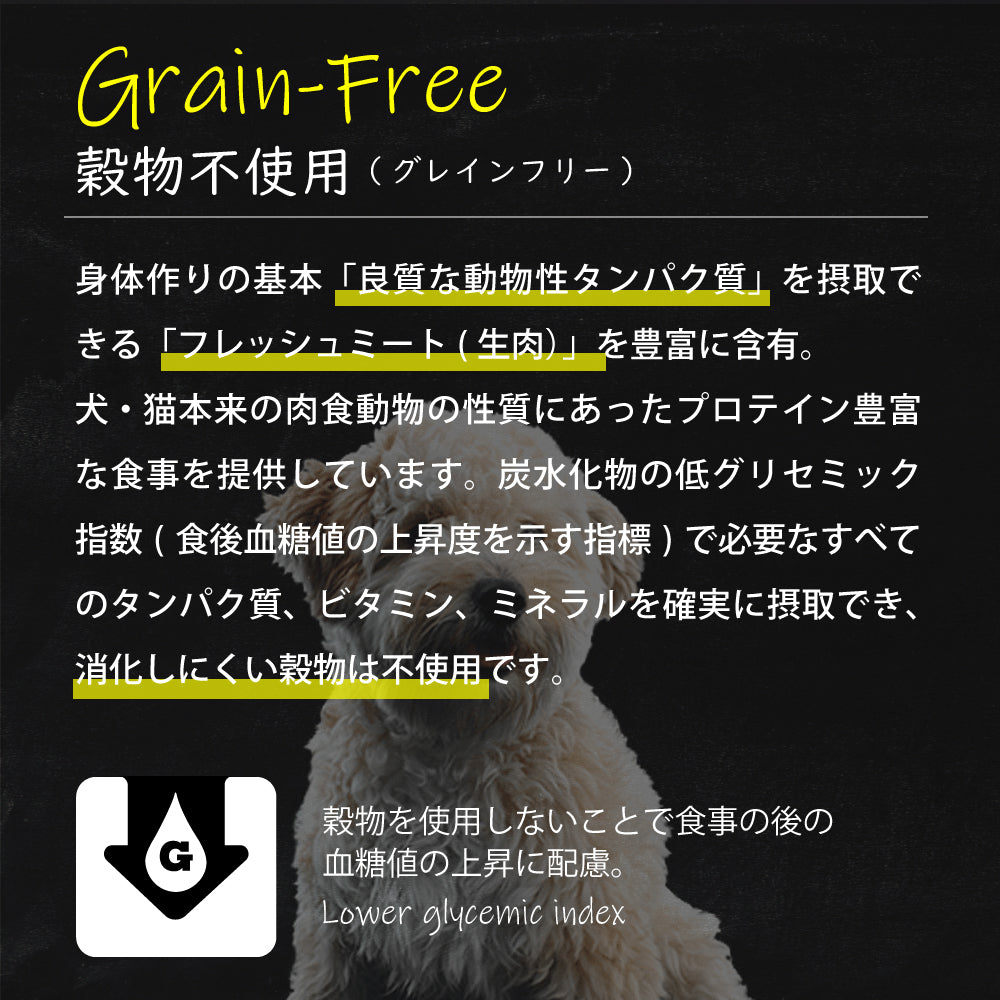 オーブンベークド トラディション OVEN-BAKED TRADITION キャットフード グレインフリー フィッシュ 350g