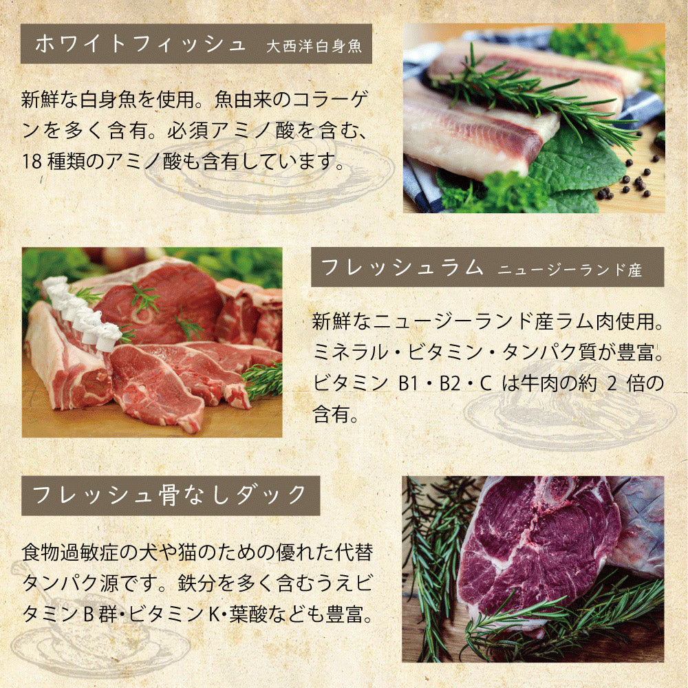 オーブンベークド トラディション OVEN-BAKED TRADITION キャットフード グレインフリー フィッシュ 350g
