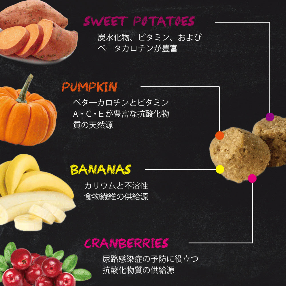 オーブンベークド トラディション OVEN-BAKED TRADITION キャットフード グレインフリー フィッシュ 350g