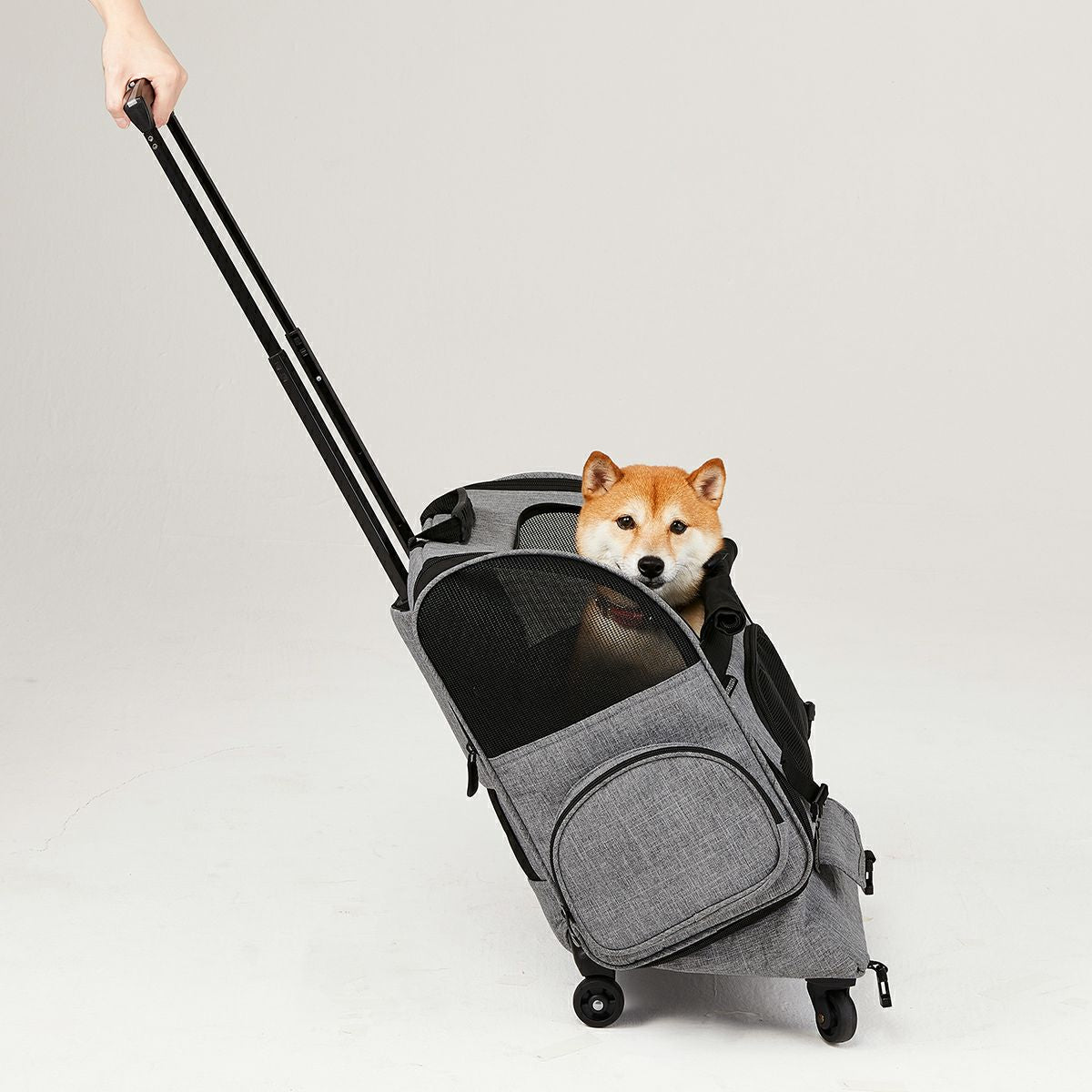 エアバギー フィット エアバギー犬 アースグレー 送料無料 AirBuggy for PET ペットキャリー ペットカート キャスター付き 小型犬 中型犬 猫 フラット 高さ切り替え