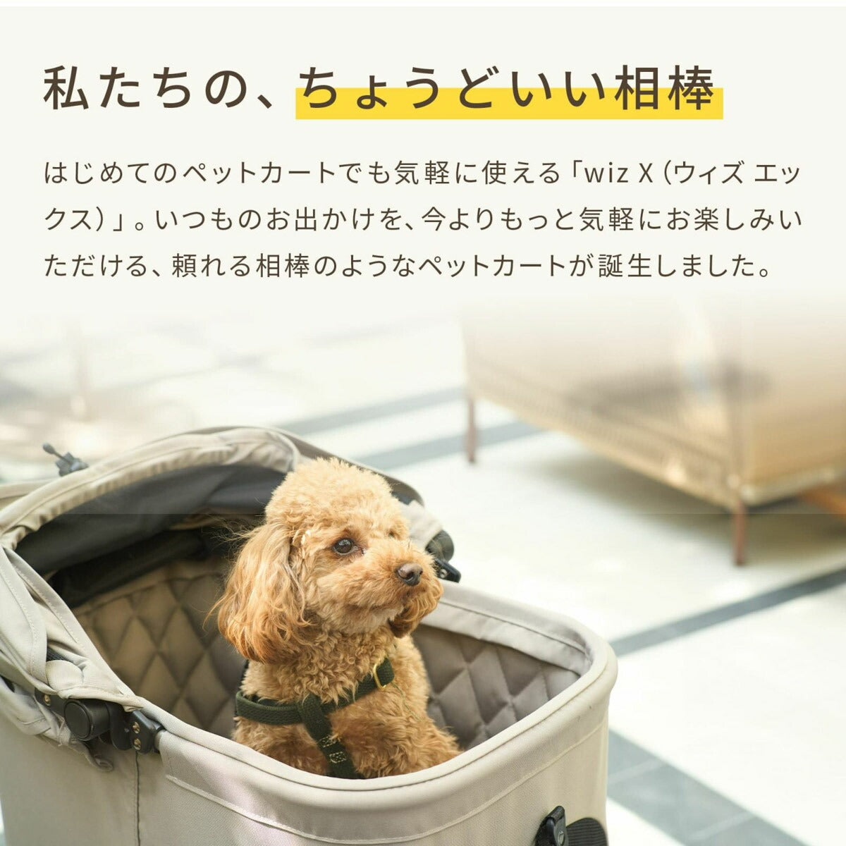 AIRBUGGY エアバギー フォー ペット ペットカート ウィズ エックス WIZ X 数量限定カラー チェリーピンク【送料無料】