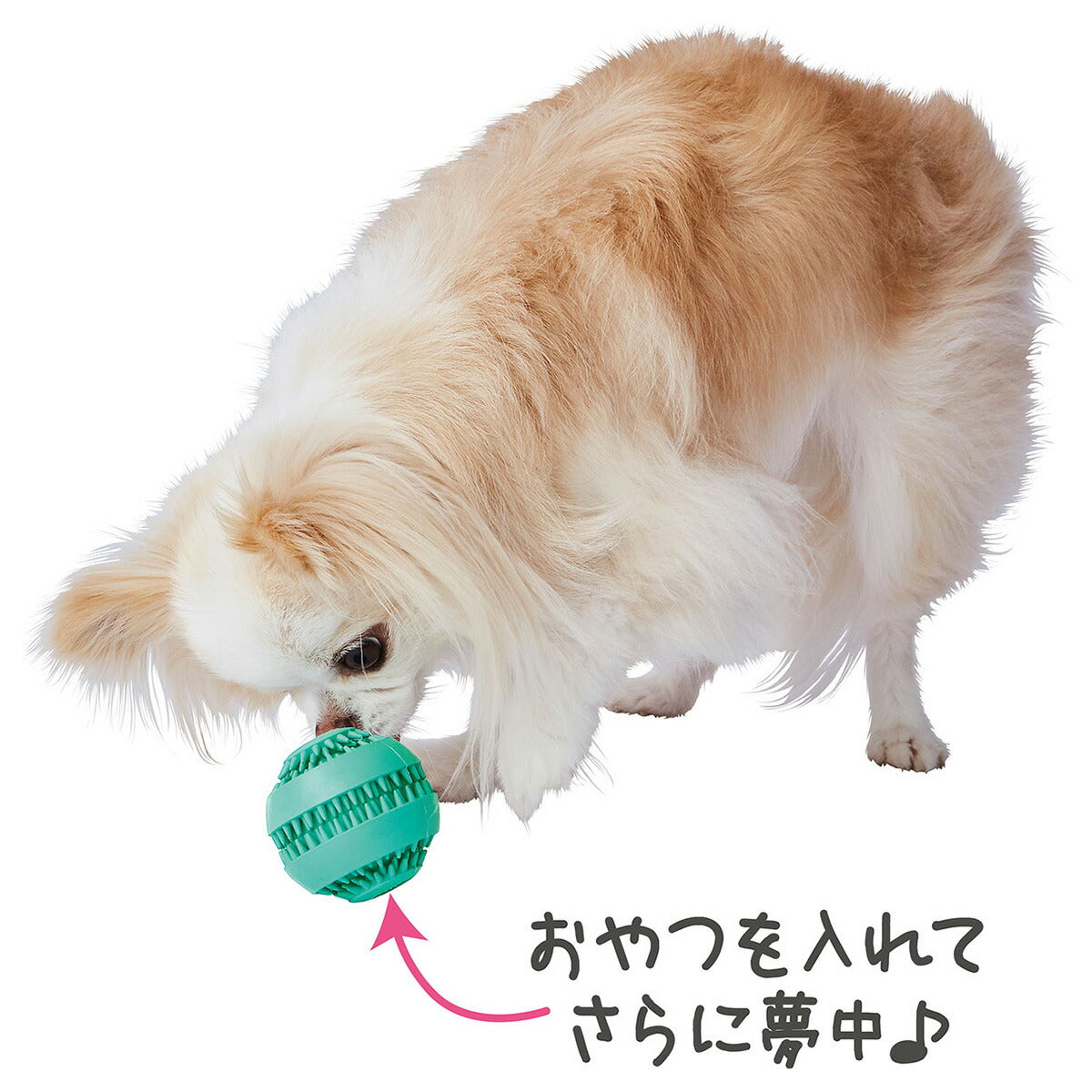 アドメイト 犬用おもちゃ Enjoy!かむラバー デンタルボール
