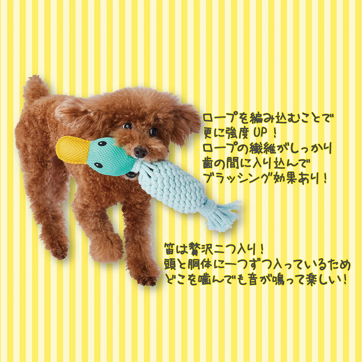 アドメイト カムカムDental Birds カモ