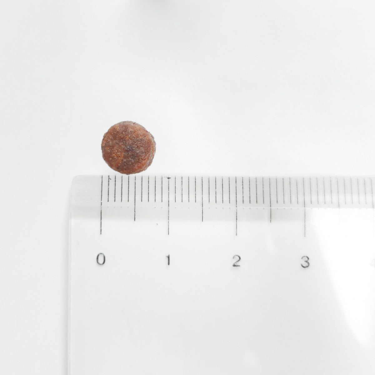 アニモンダ キャットフード カーニー ドライ 鶏 子猫用 1.75kg×4個【送料無料】猫 無添加