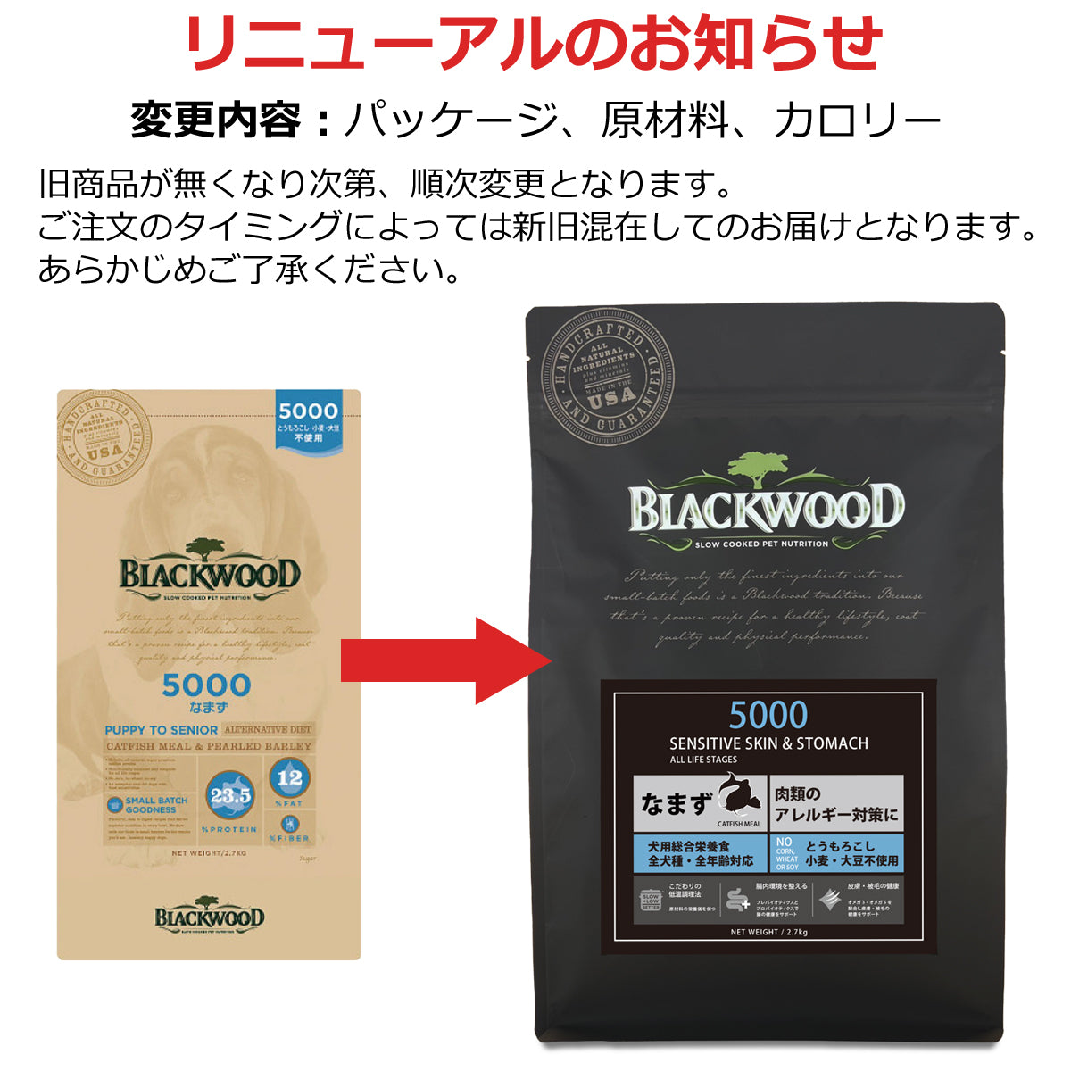 ブラックウッド BLACKWOOD ドッグフード 5000 980g 成犬・高齢犬用 無添加