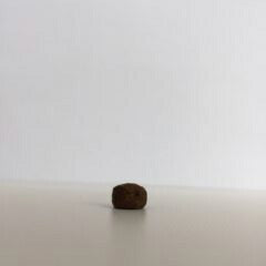 ブリットケア Brit Care ドッグフード グレインフリー パピー 3kg(1kg×3個) 子犬用 穀物不使用 無添加