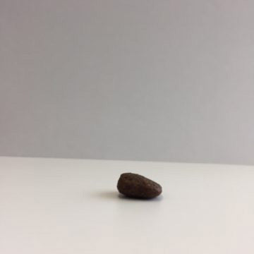 ブリットケア Brit Care ドッグフード グレインフリー アダルト 3kg(1kg×3個) 成犬用 穀物不使用 無添加