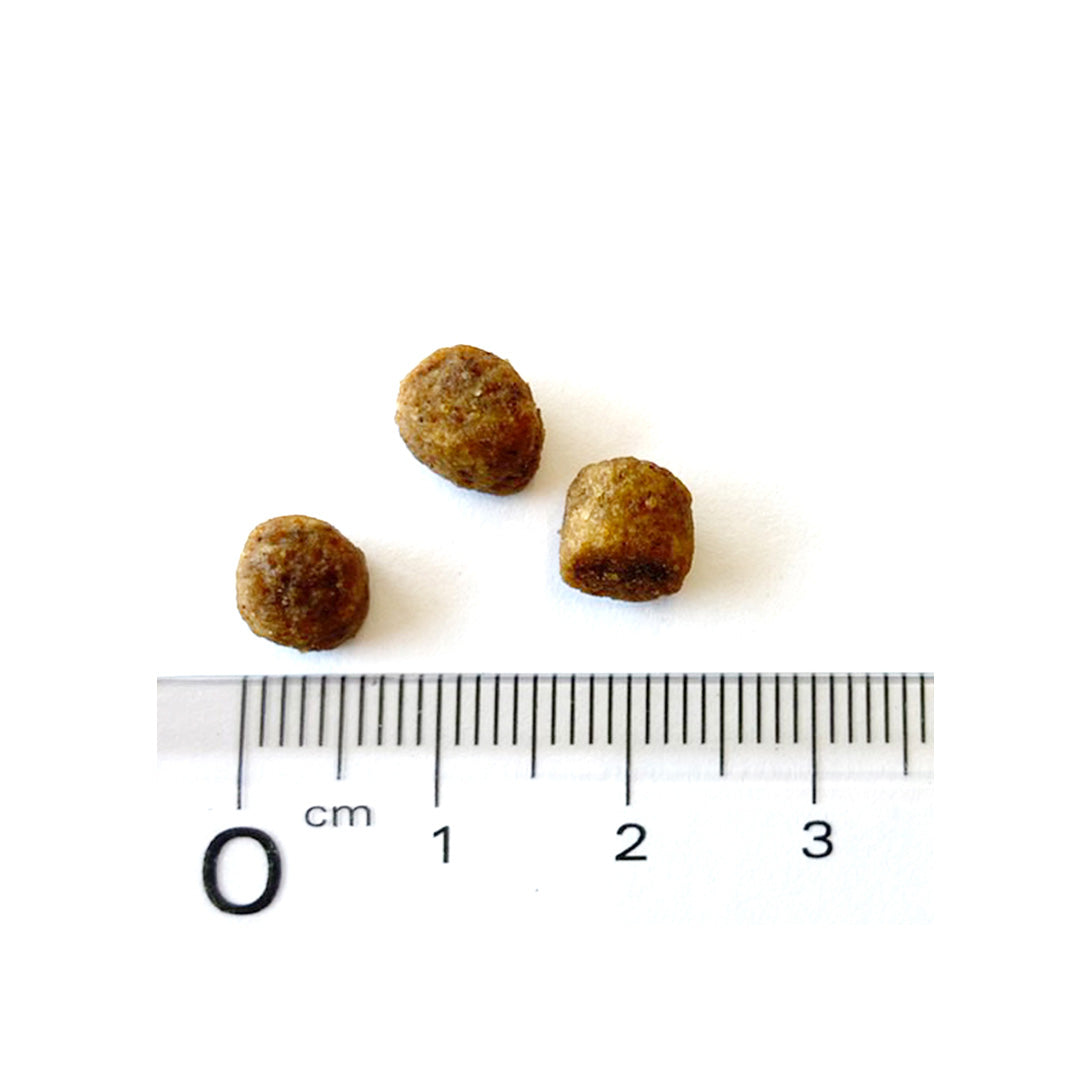 ブリットケア ミニ Brit Care キャットフード グレインフリー キトン 400g