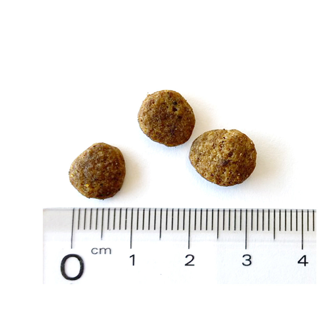 ブリットケア ミニ Brit Care キャットフード グレインフリー センシティブ 400g