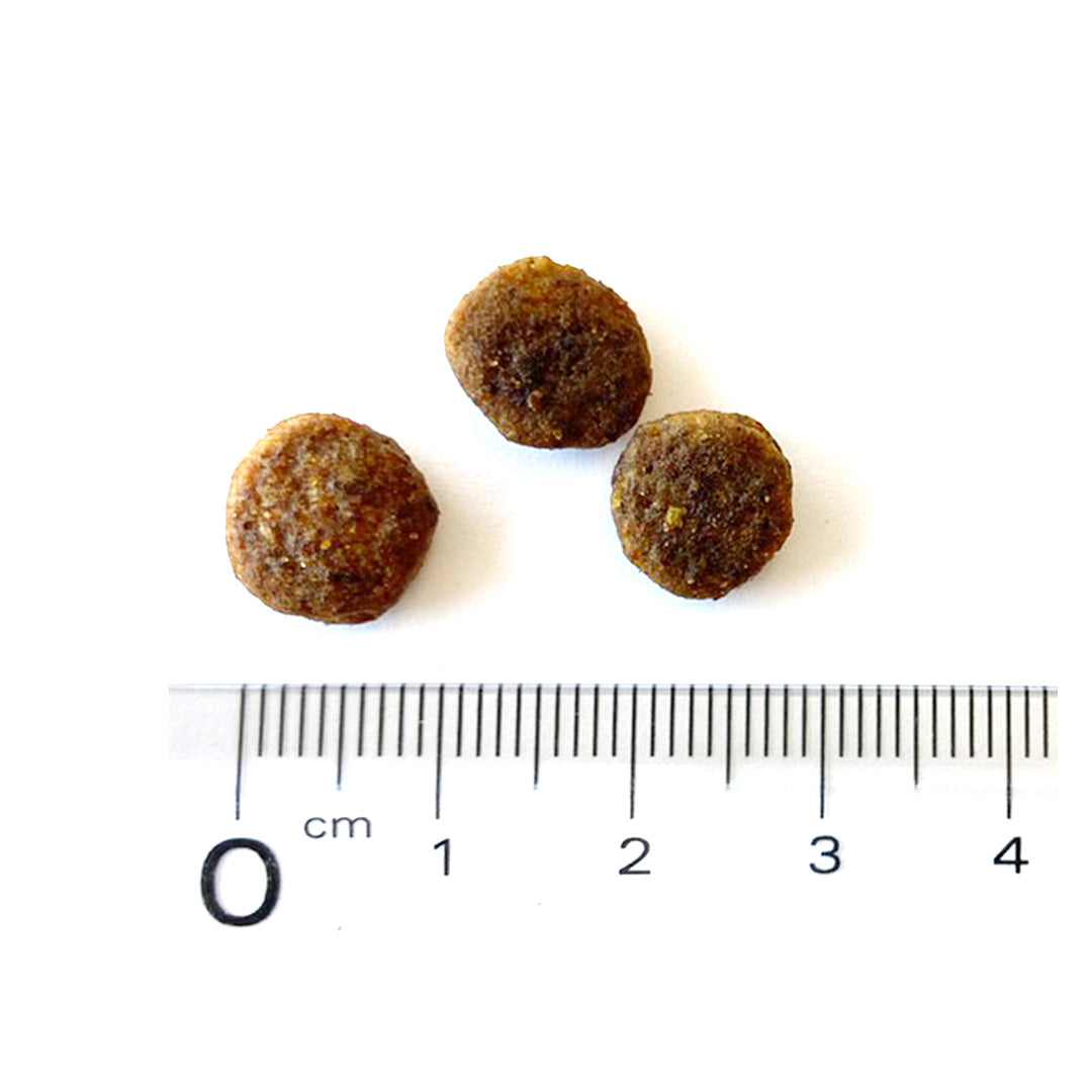 ブリットケア ミニ Brit Care キャットフード グレインフリー インドア 2kg