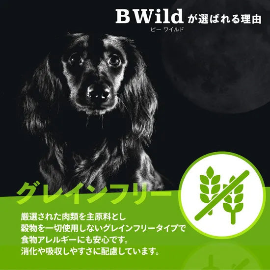 ビーワイルド B Wild ドッグフード ラム with ポテト&エンドウ豆 グレインフリー 800g