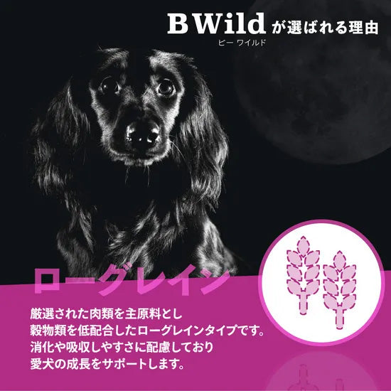 ビーワイルド B Wild ドッグフード パピー 鹿肉 ローグレイン 800g