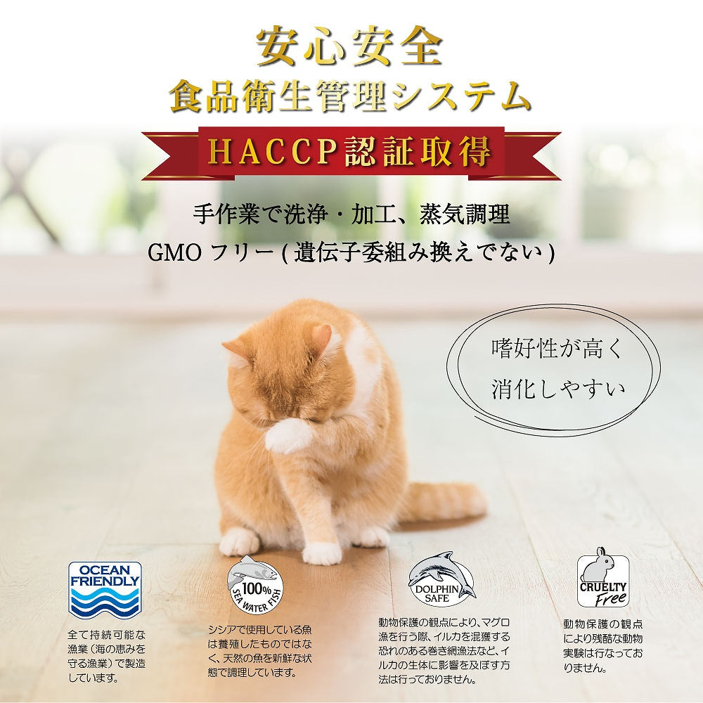 Schesir(シシア)キャットシリーズ ゼリータイプ ツナ&キヌア 85g×14缶 猫缶 キャットフード ウェット 猫用品/ねこグッズ/ペット用品