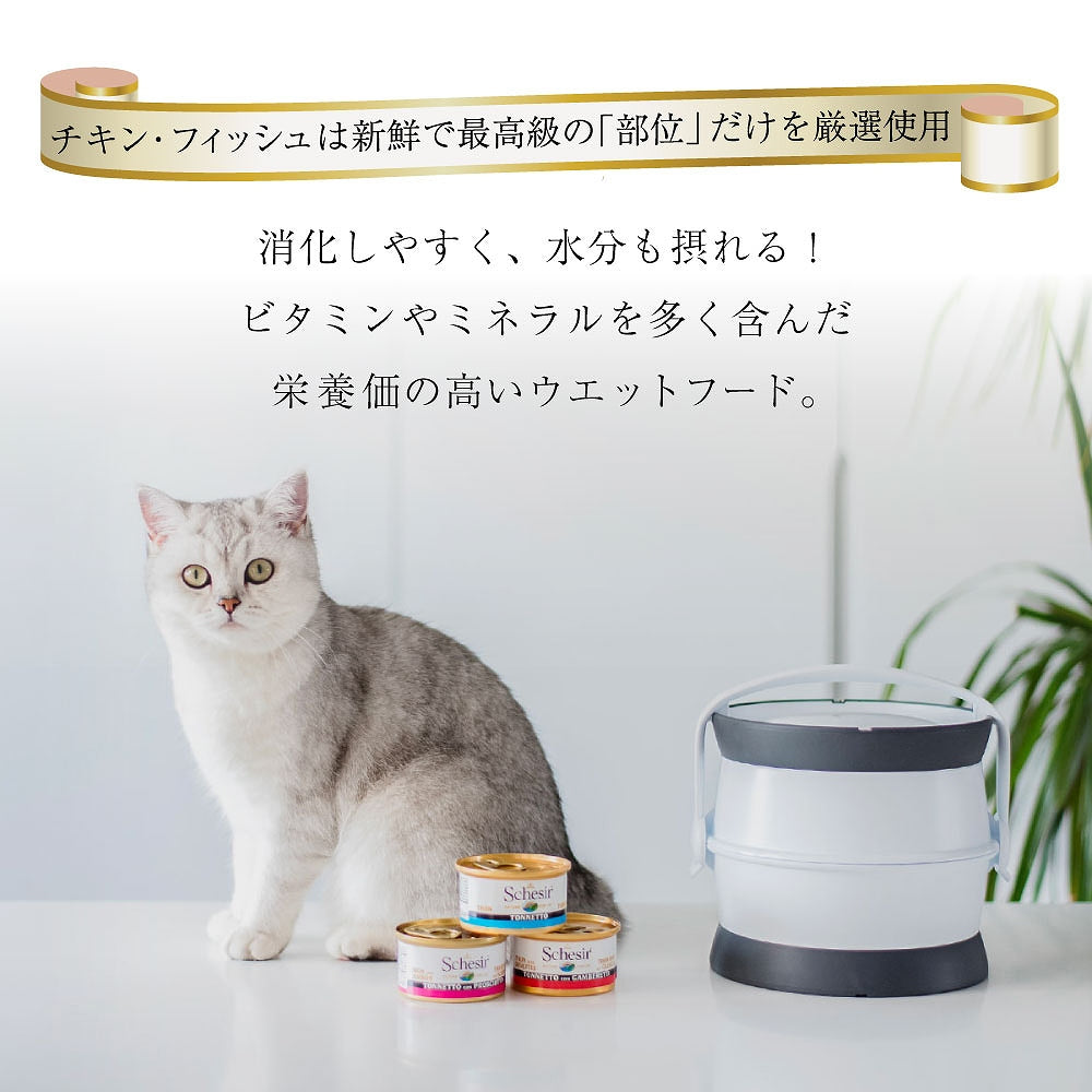 Schesir(シシア)キャットシリーズ ゼリータイプ ツナ&キヌア 85g×14缶 猫缶 キャットフード ウェット 猫用品/ねこグッズ/ペット用品