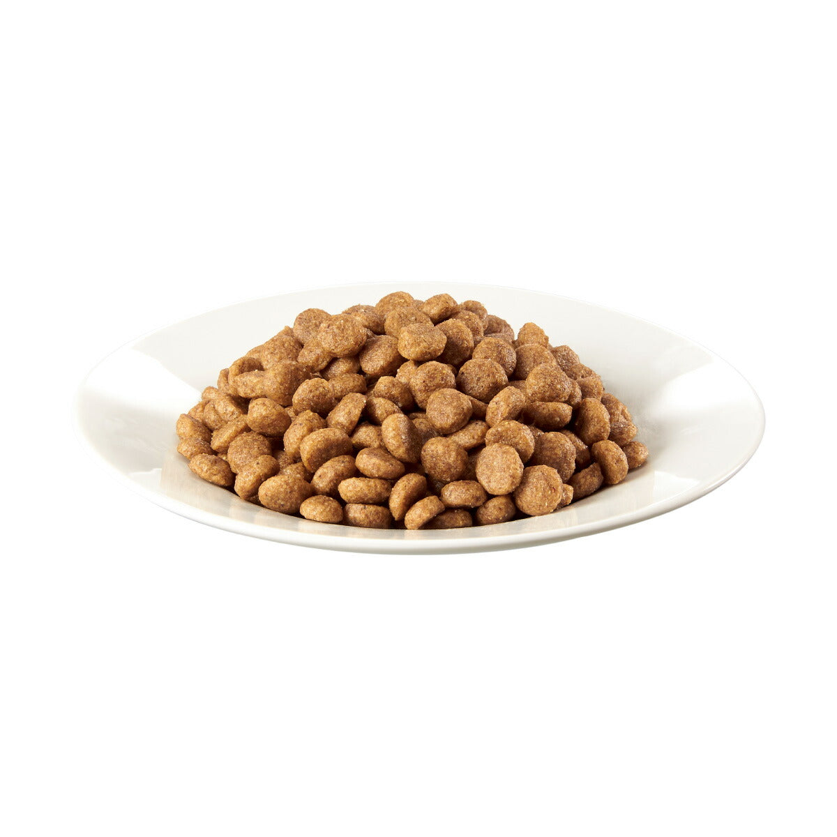 シーザー ドライ ドッグフード 成犬用 チキンと4種の農園野菜入り 小粒 1.5kg×6個セット【送料無料】 マースジャパン 犬用