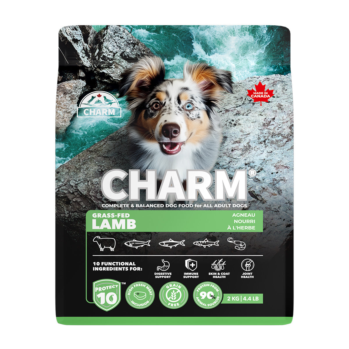 チャーム CHARM グラスフェッドラム ドッグフード グレインフリー 2kg