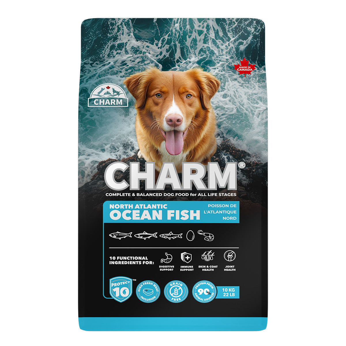 チャーム CHARM ノース アトランティック オーシャン フィッシュ ドッグフード グレインフリー 10kg