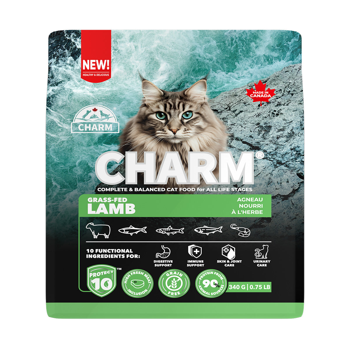 チャーム CHARM グラスフェッドラム キャットフード グレインフリー 340g