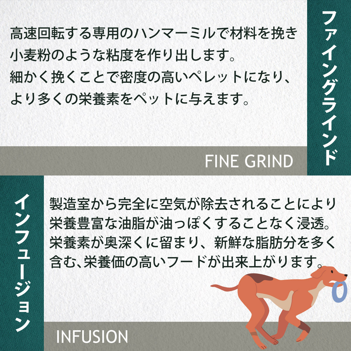 チャーム CHARM ドッグフード アダルトドッグ 成犬用 穀物不使用 1kg×12個セット