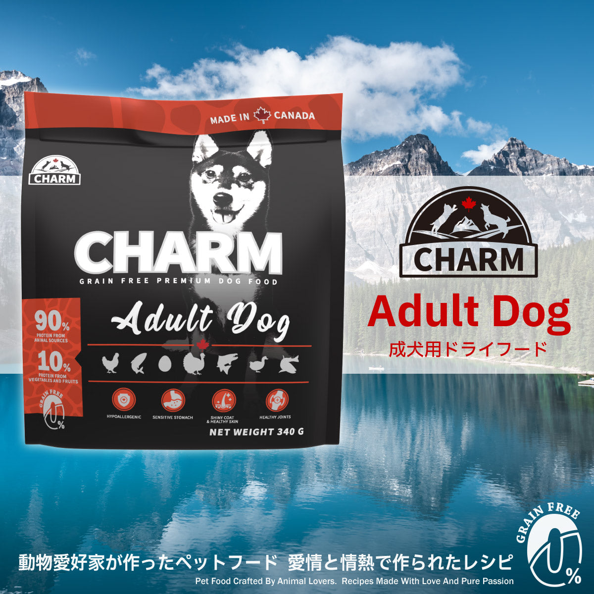チャーム CHARM ドッグフード アダルトドッグ 成犬用 穀物不使用 340g×36個セット