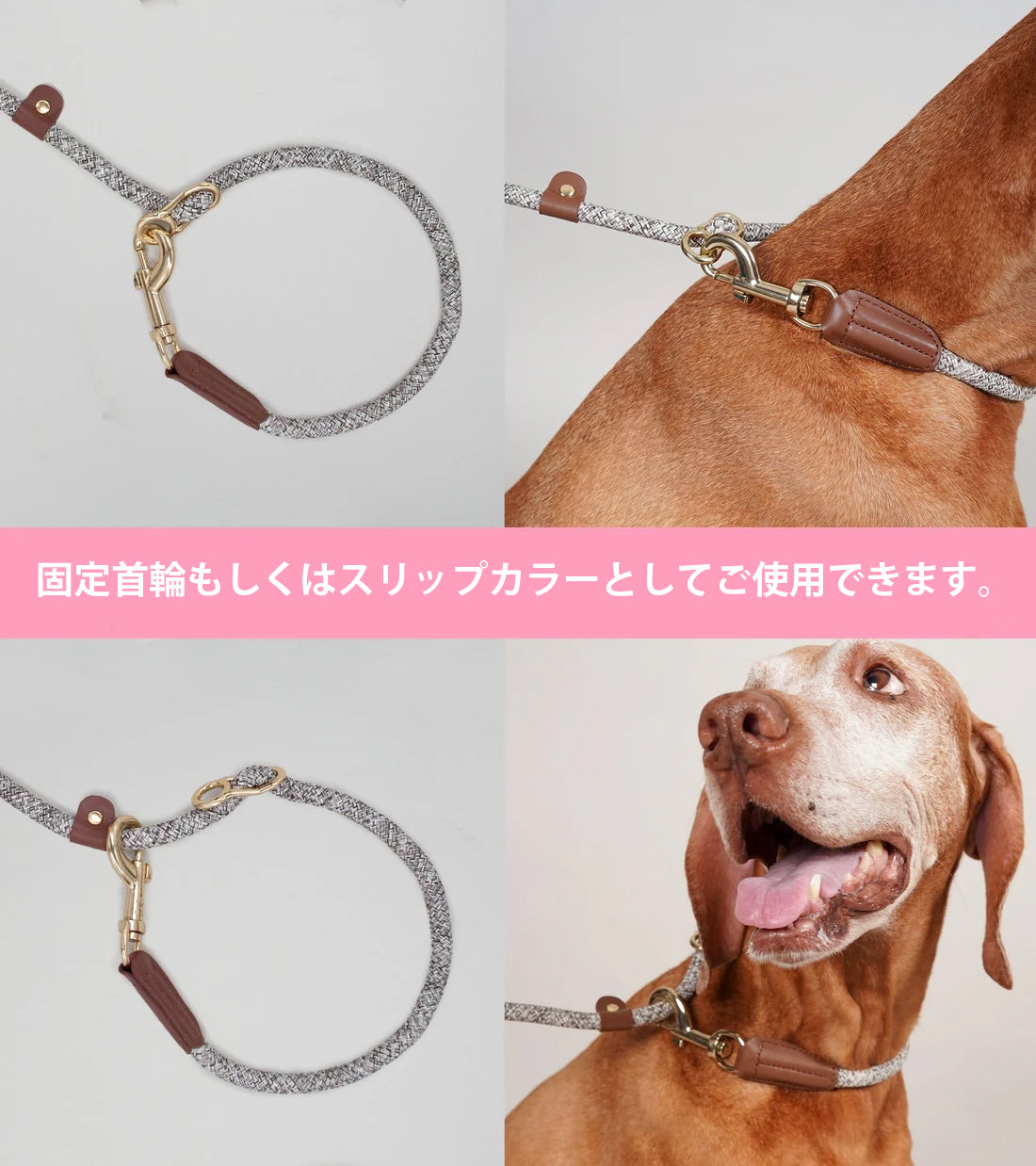 ハイファイブドッグ HIGH5DOGS メトロポリタンコレクション ハンズフリーリーシュ 9mm ブラック/ゴールド【送料無料】