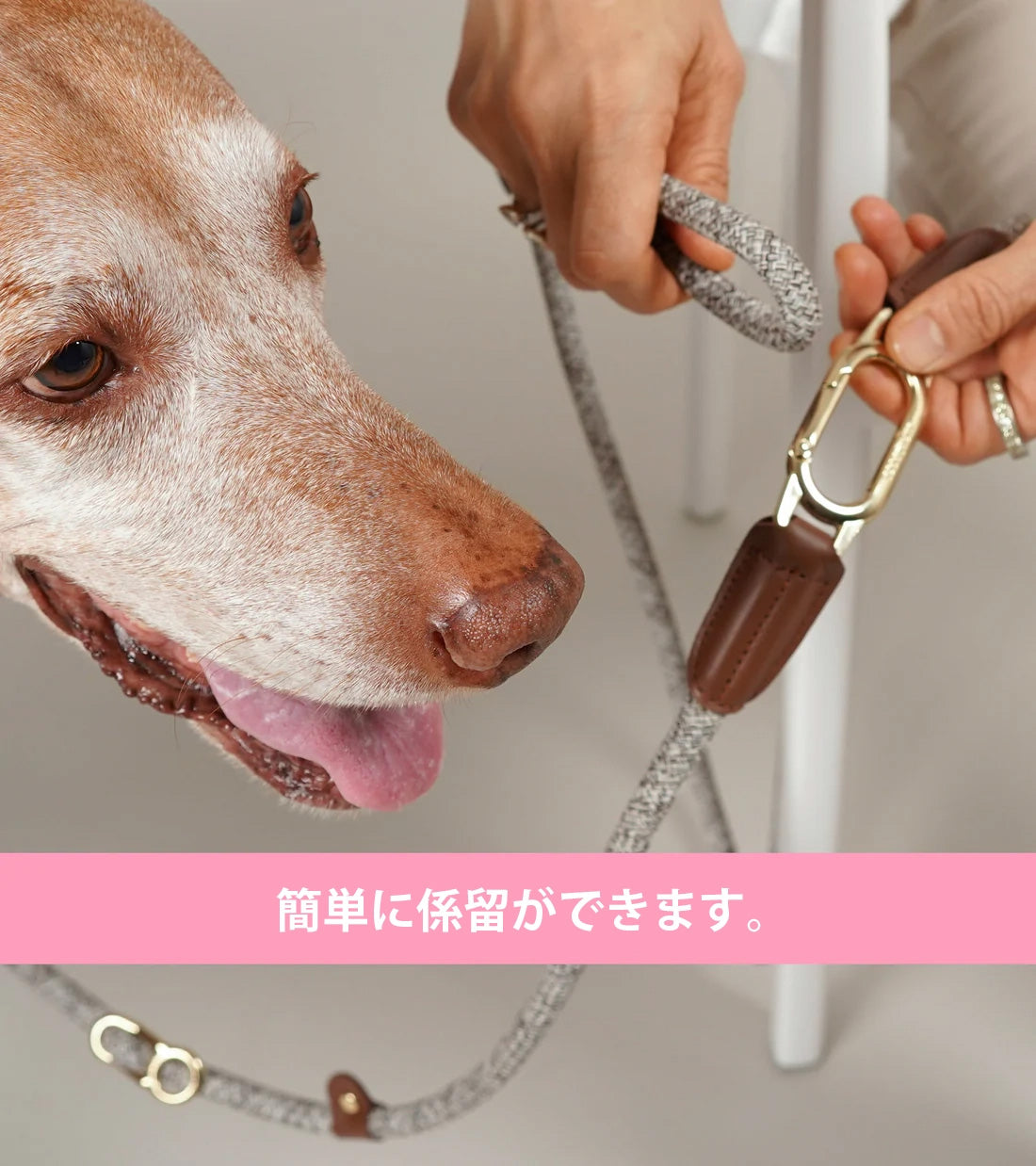 ハイファイブドッグ HIGH5DOGS メトロポリタンコレクション ハンズフリーリーシュ 9mm ブラック/ゴールド【送料無料】