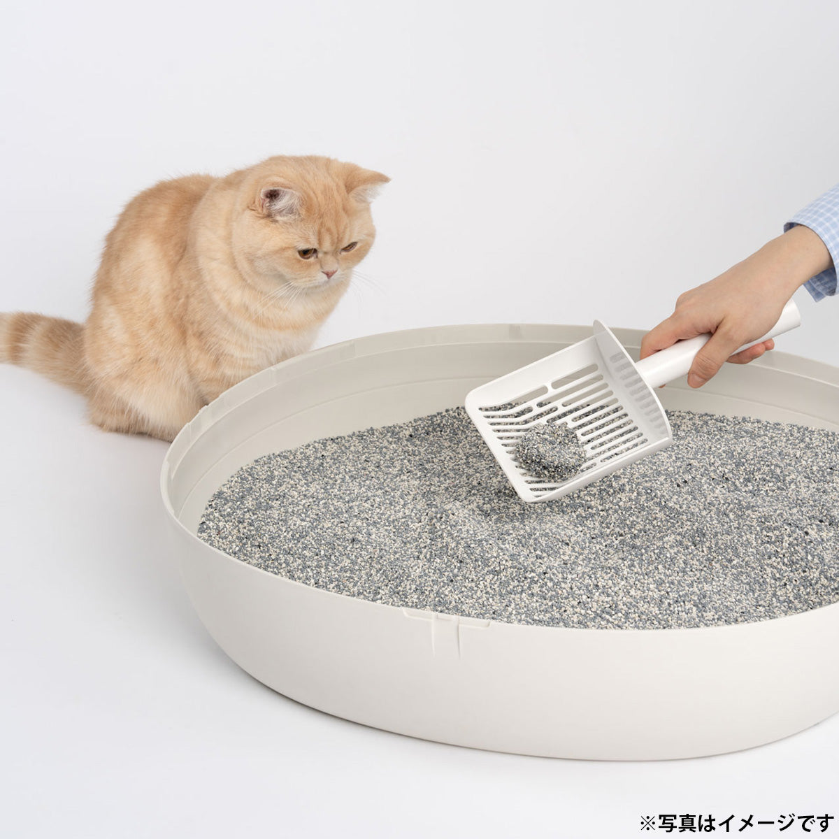 エバークリーン EVER CLEAN エクストラフレッシュ 猫砂 芳香タイプ 4.2kg×4袋