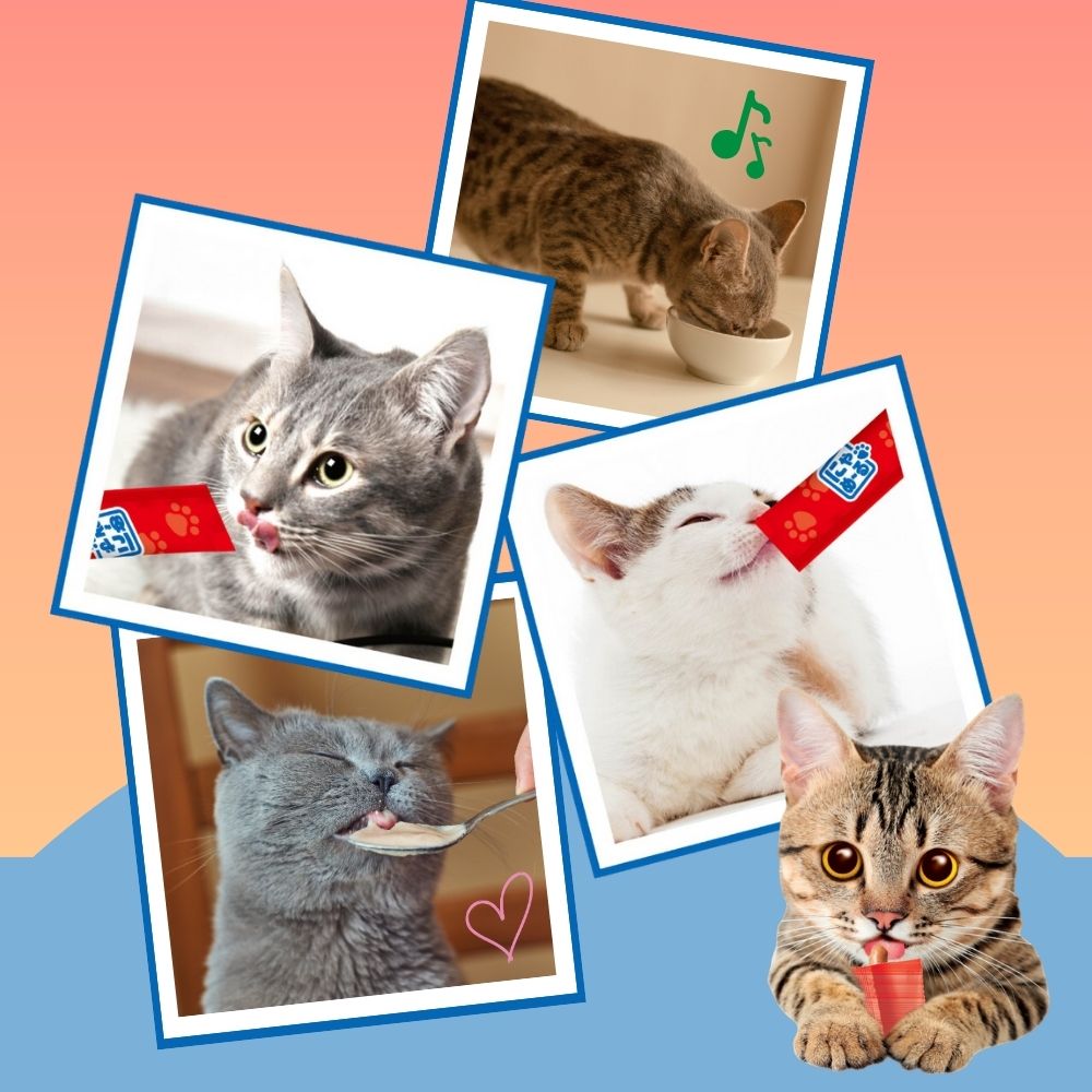 アース・ペット ねこモテ にゃめ~る かつお 猫用おやつ 12g×20本