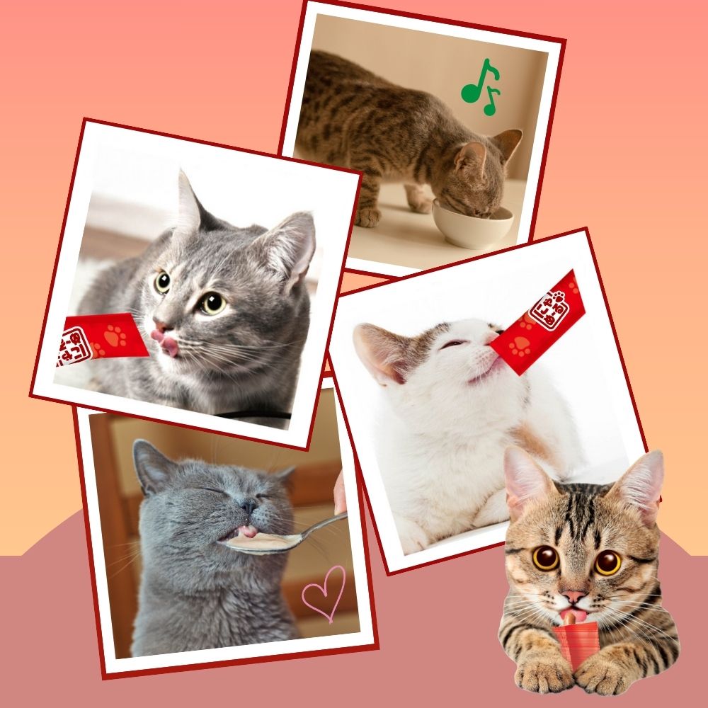 アース・ペット ねこモテ にゃめ~る まぐろ 猫用おやつ 12g×20本