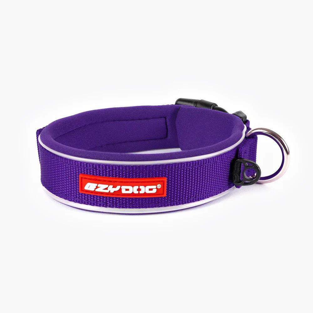EZYDOG イージードッグ 首輪 ネオカラー L パープル