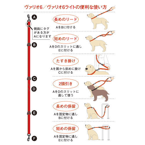 イージードッグ EZYDOG ヴァリオ6ライト グリーンカモ【送料無料】
