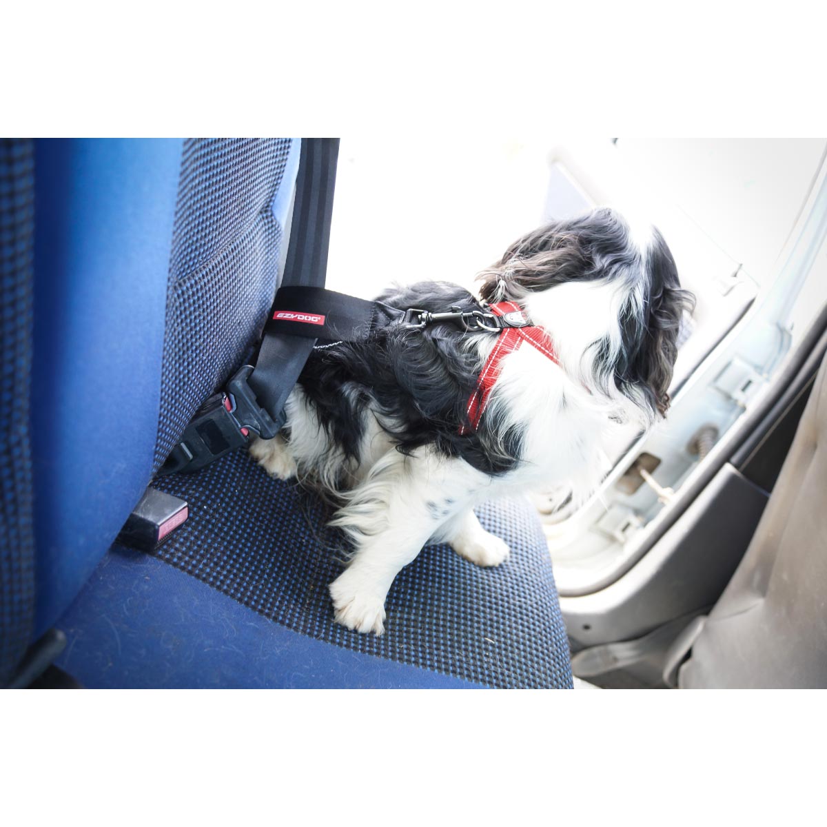 イージードッグ EZYDOG カーシートアタッチメント ブラック