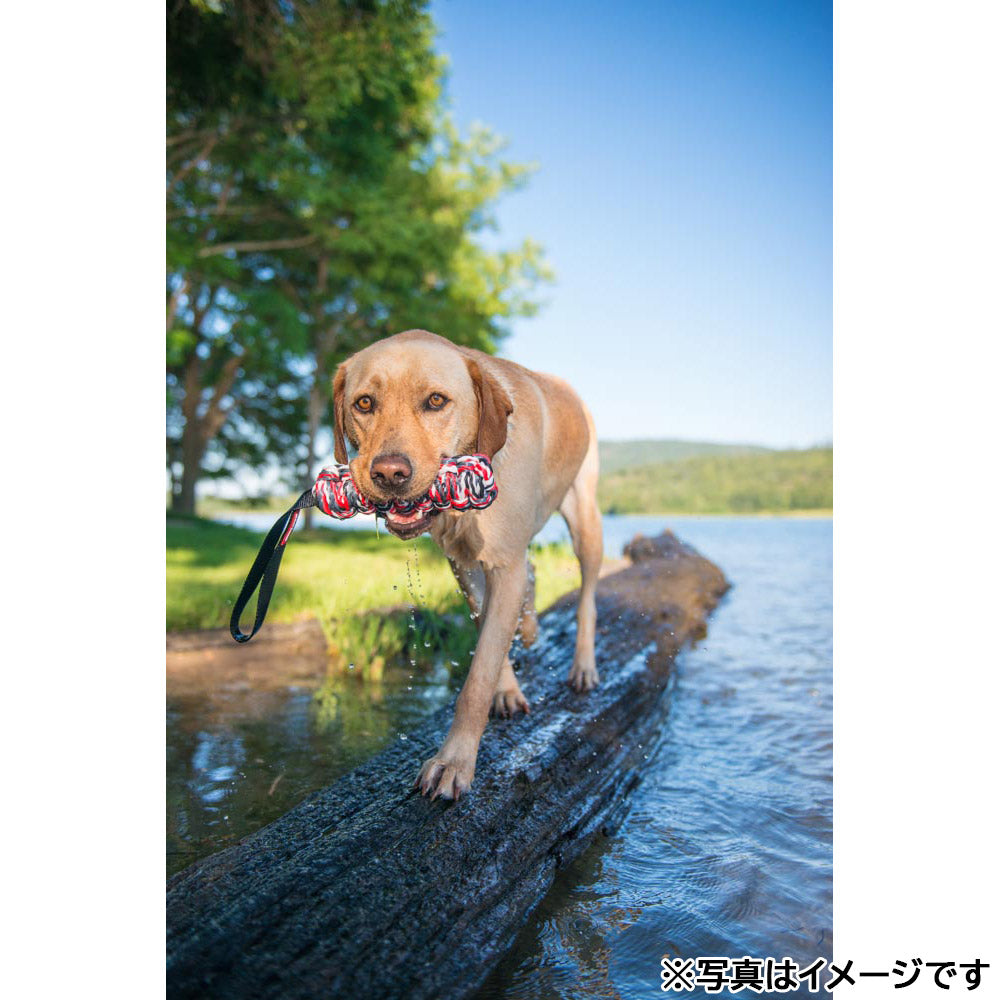 イージードッグ EZYDOG ビーバーテイル L