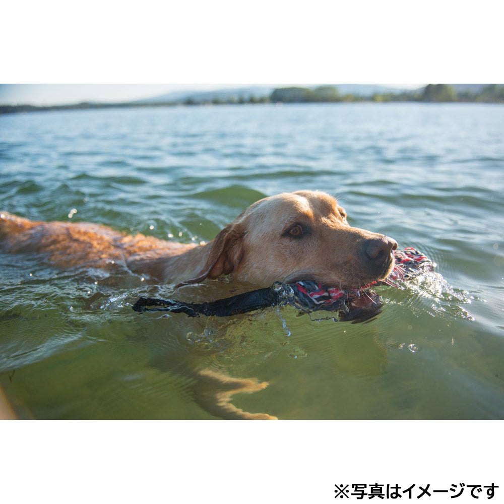 イージードッグ EZYDOG ビーバーテイル L