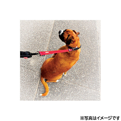 イージードッグ EZYDOG ソフトエクステンション レッド
