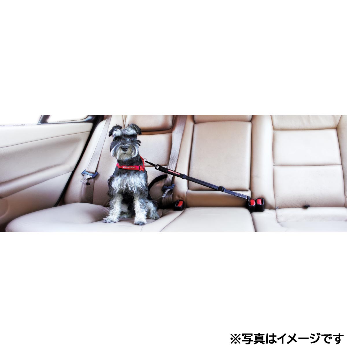 イージードッグ EZYDOG クリック グレイ