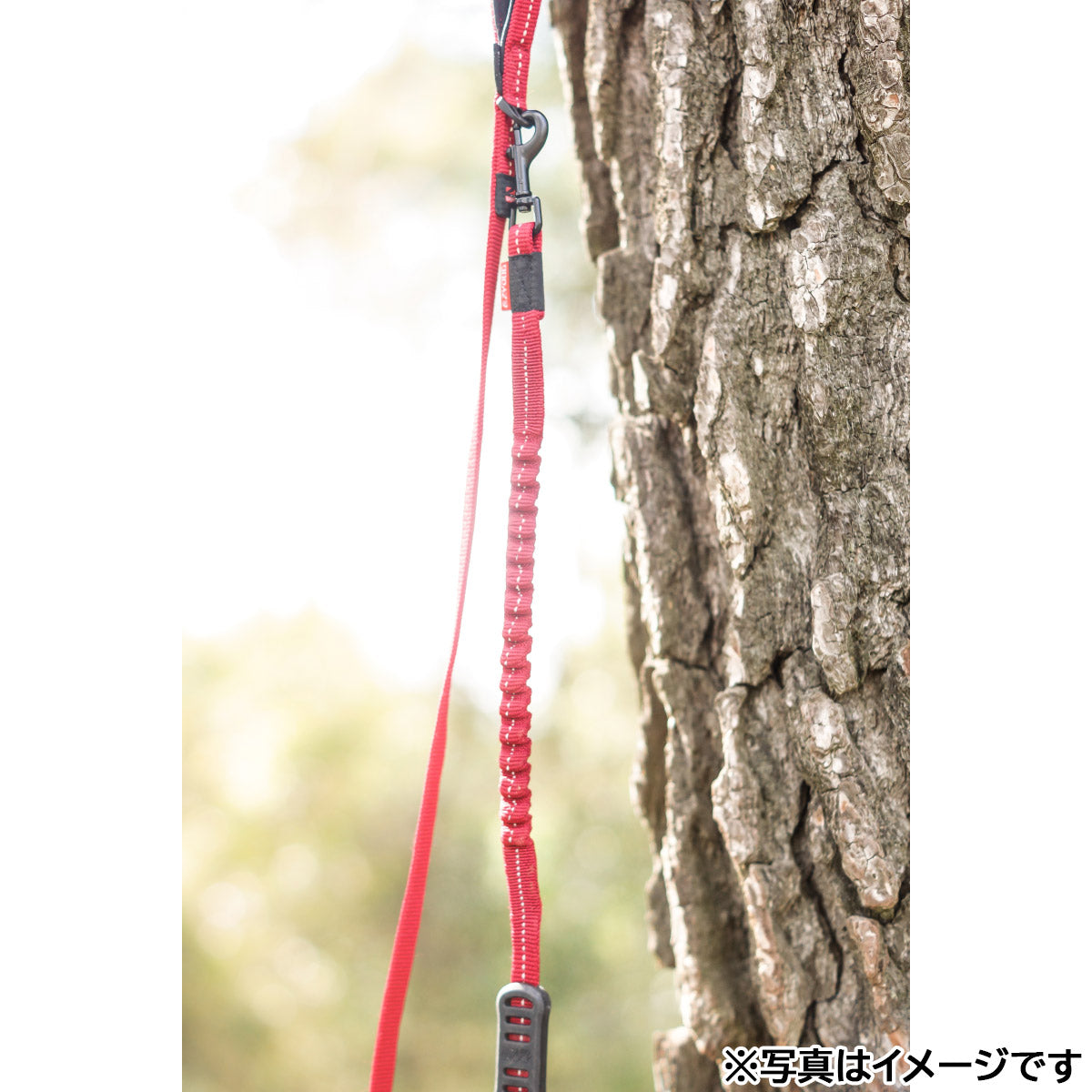 イージードッグ EZYDOG ゼロショックライト ブラック