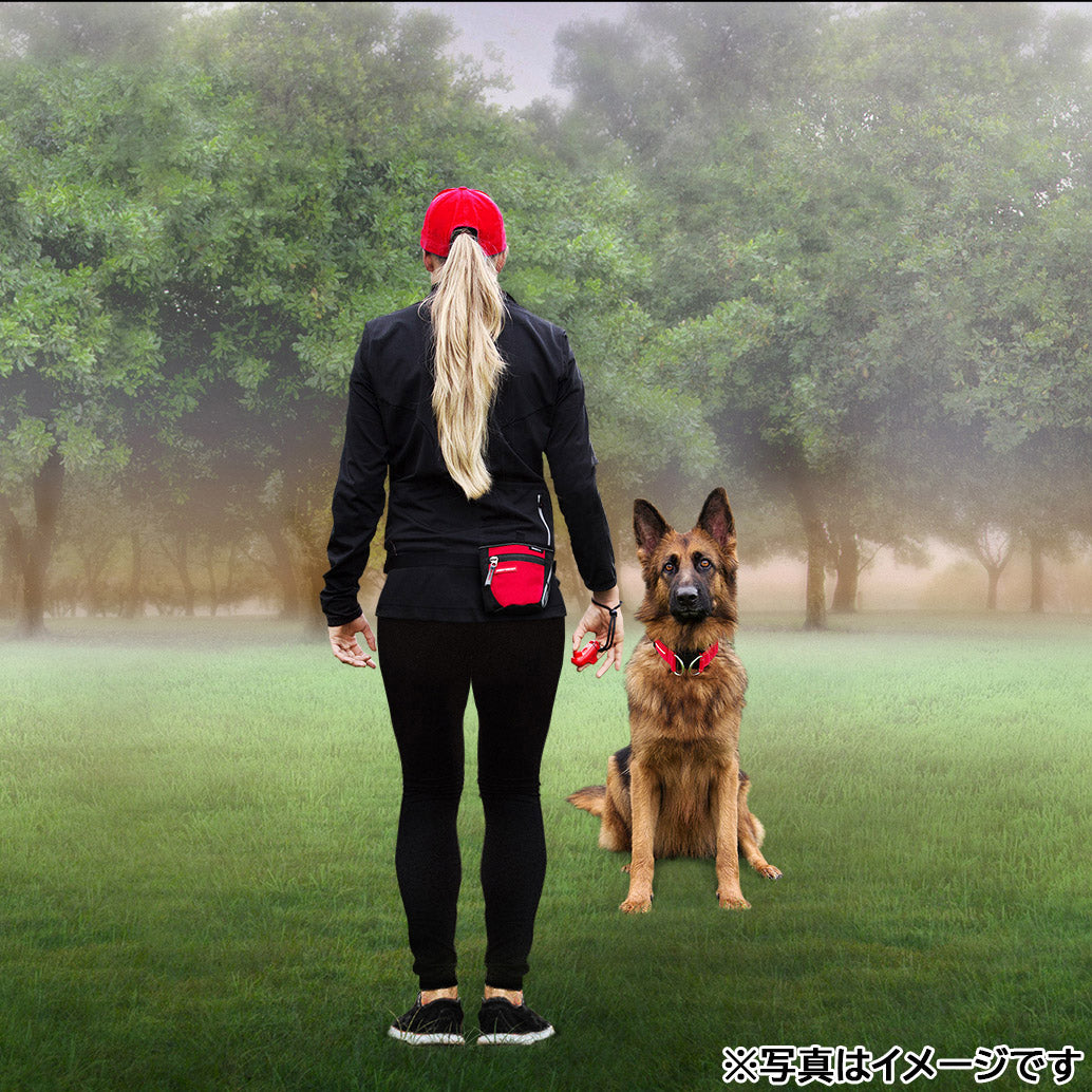 イージードッグ EZYDOG コマンドクリッカー レッド