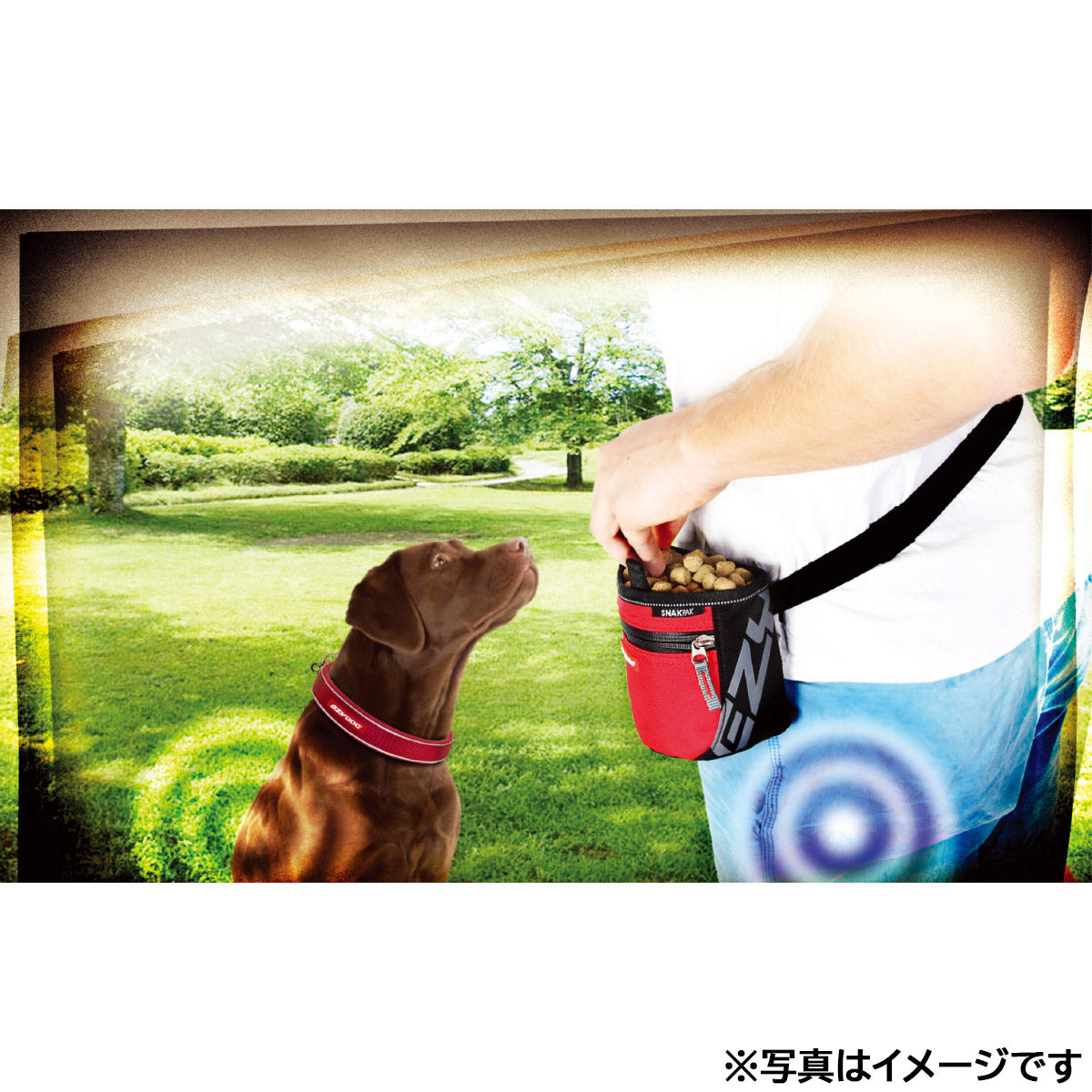 イージードッグ EZYDOG スナックパック ブラック【送料無料】