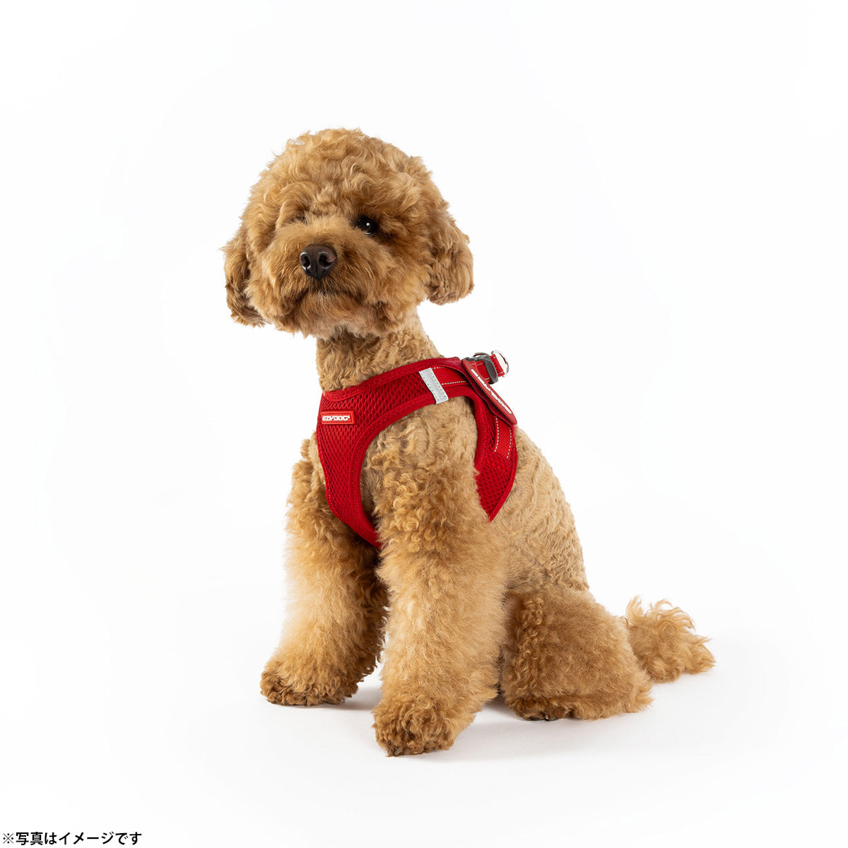 イージードッグ EZYDOG メッシュフィットハーネス XL レッド
