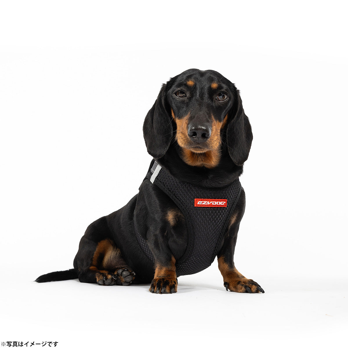 イージードッグ EZYDOG メッシュフィットハーネス XL ブラック