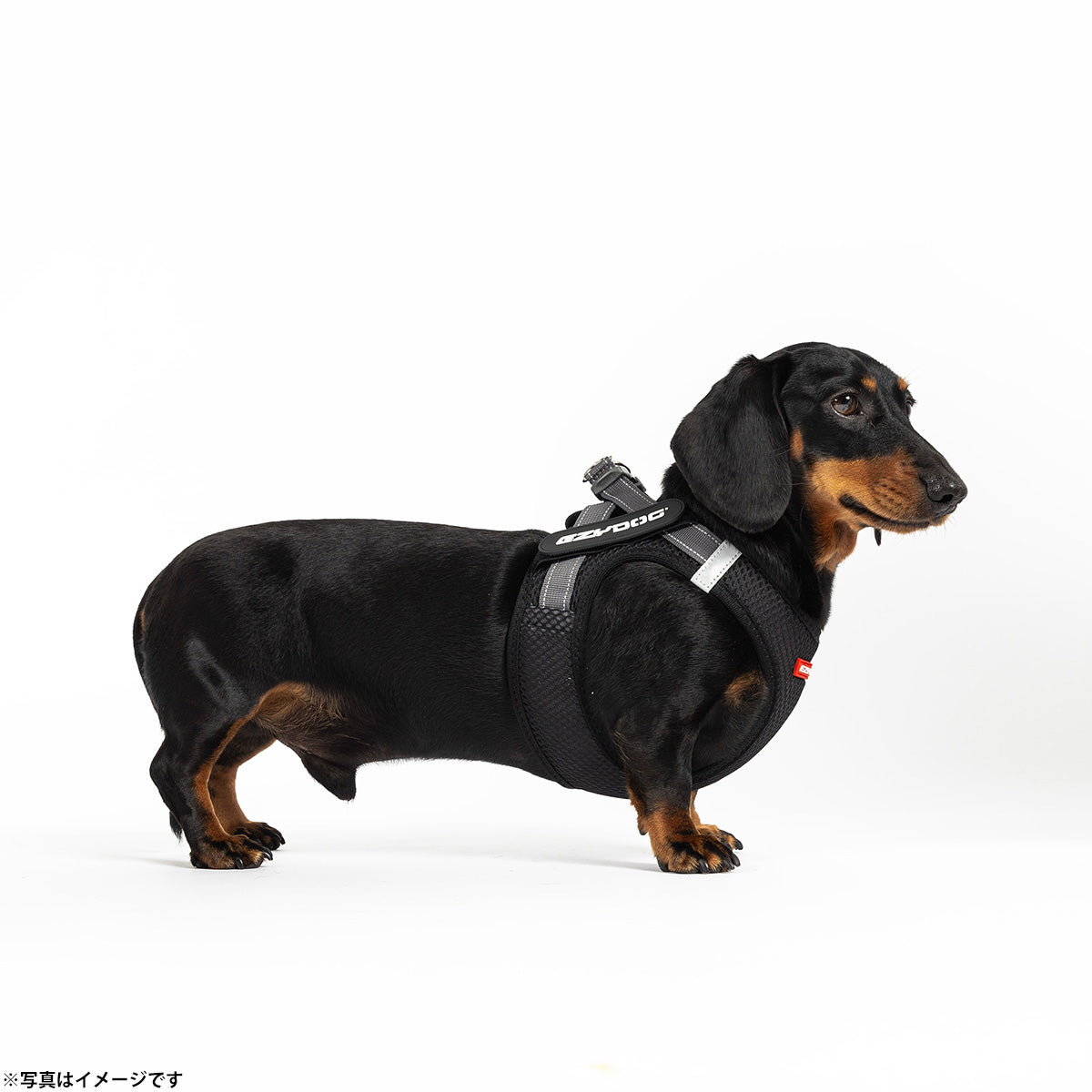 イージードッグ EZYDOG メッシュフィットハーネス XL ブラック