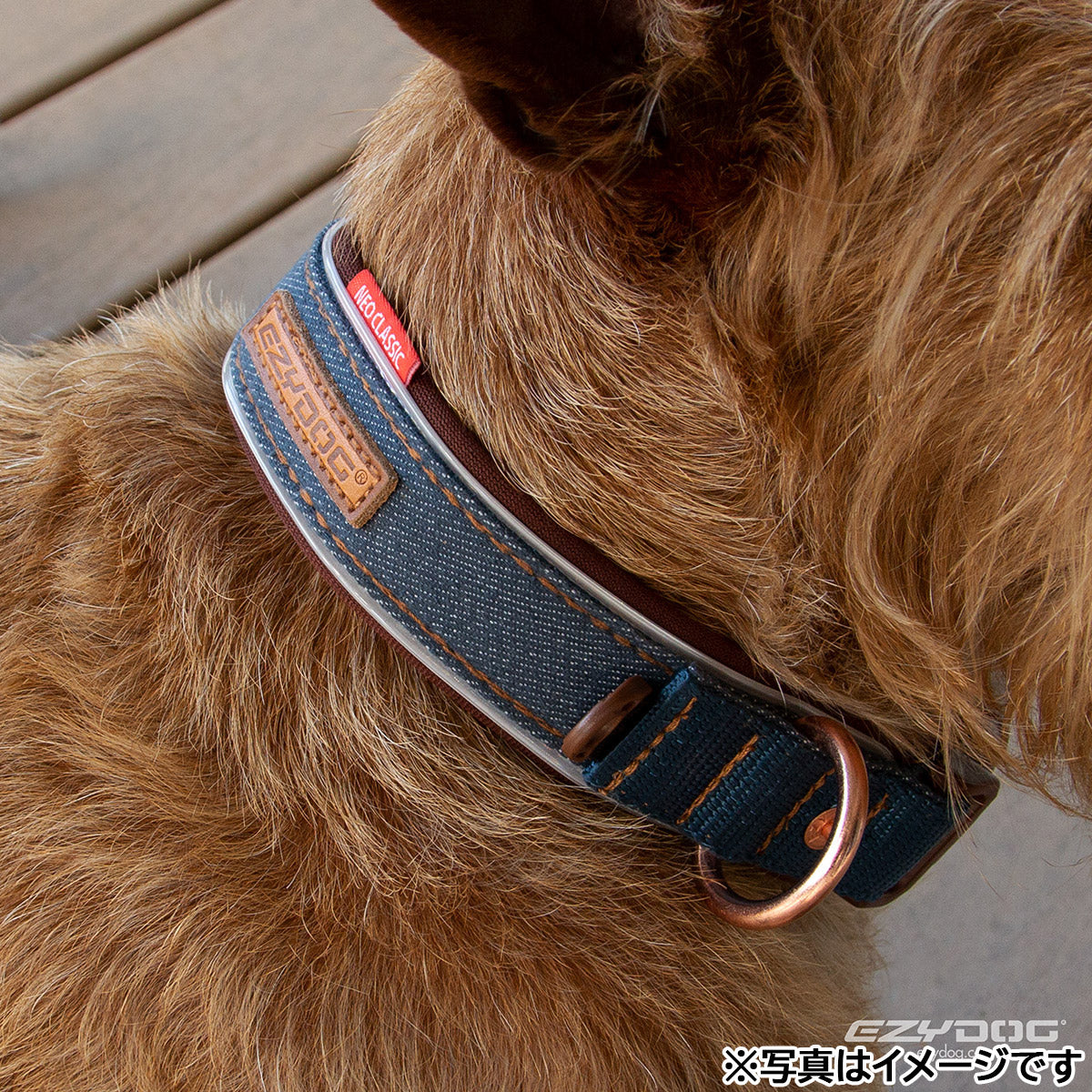 イージードッグ EZYDOG プレミアム デニム コレクション ネオカラー M デニム【送料無料】
