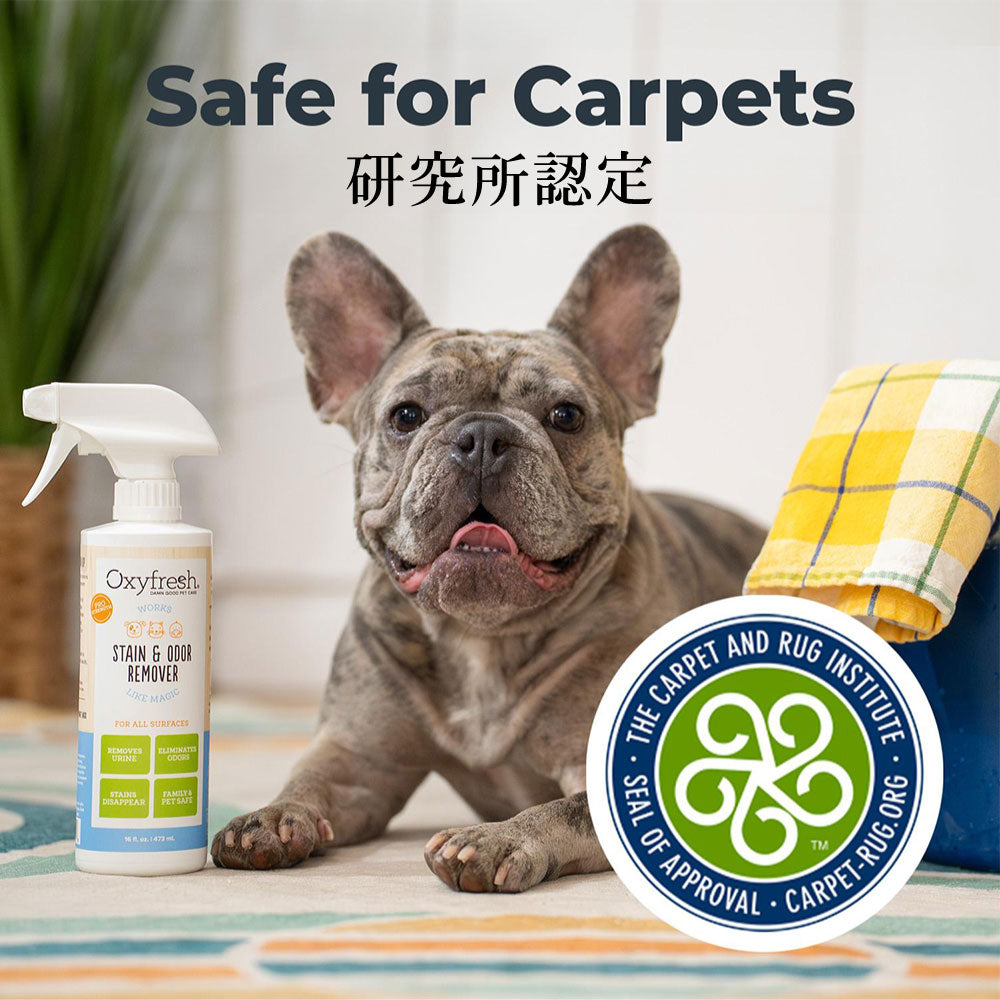 オキシフレッシュ Oxyfresh ステイン&オーダークリーナー 473ml【送料無料】