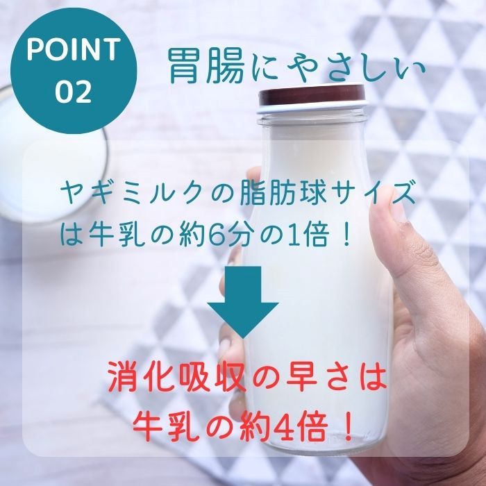 Yappy! ヤッピー ハイグレードゴートミルク ご馳走かぼちゃポタージュ 25g