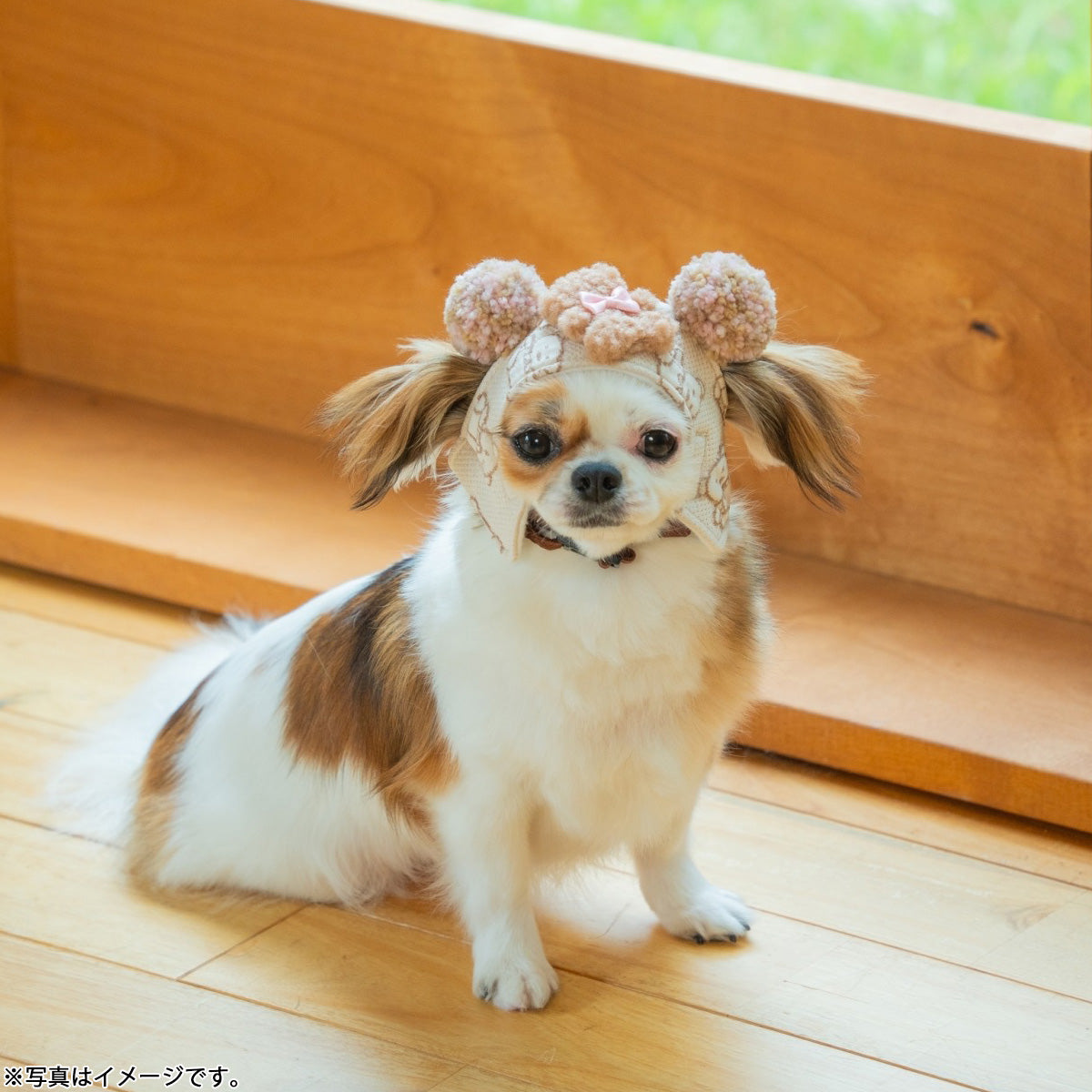 犬の帽子 ガーデンオブエデン くまくまパイロット帽 M グレーベア【送料無料】