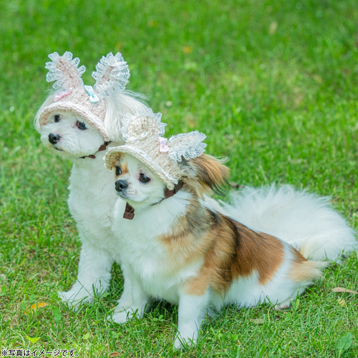 犬の帽子 ガーデンオブエデン 森のうさぎ&くまさんハット S ベア【送料無料】